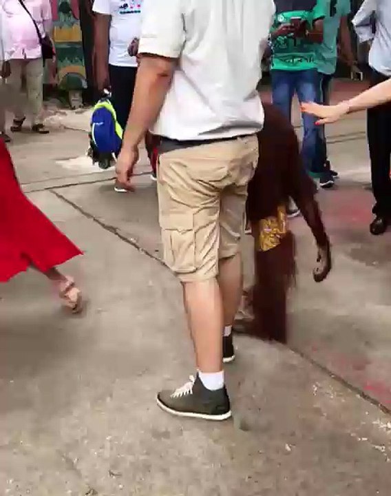 Funny Clip
