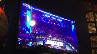 Brock Lesnar vs Goldberg WrestleMania 33