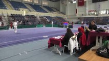 Wushu Taolu Türkiye Şampiyonası Sona Erdi
