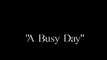 Charlie Chaplin - A Busy Day (1914)