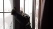 Newfoundland Resident Uses Window After Snow Blocks Doors