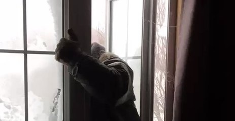 Newfoundland Resident Uses Window After Snow Blocks Doors