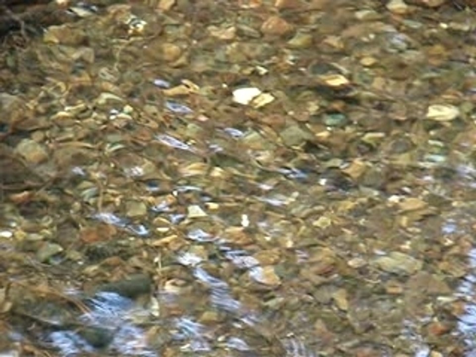 Une réserve de pêche en Montagne