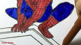 How to Color Spiderman Coloring book Spiderman Coloring Pages for kids