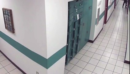 la reacción de un valiente policía cuando apareció una rata en la comisaría