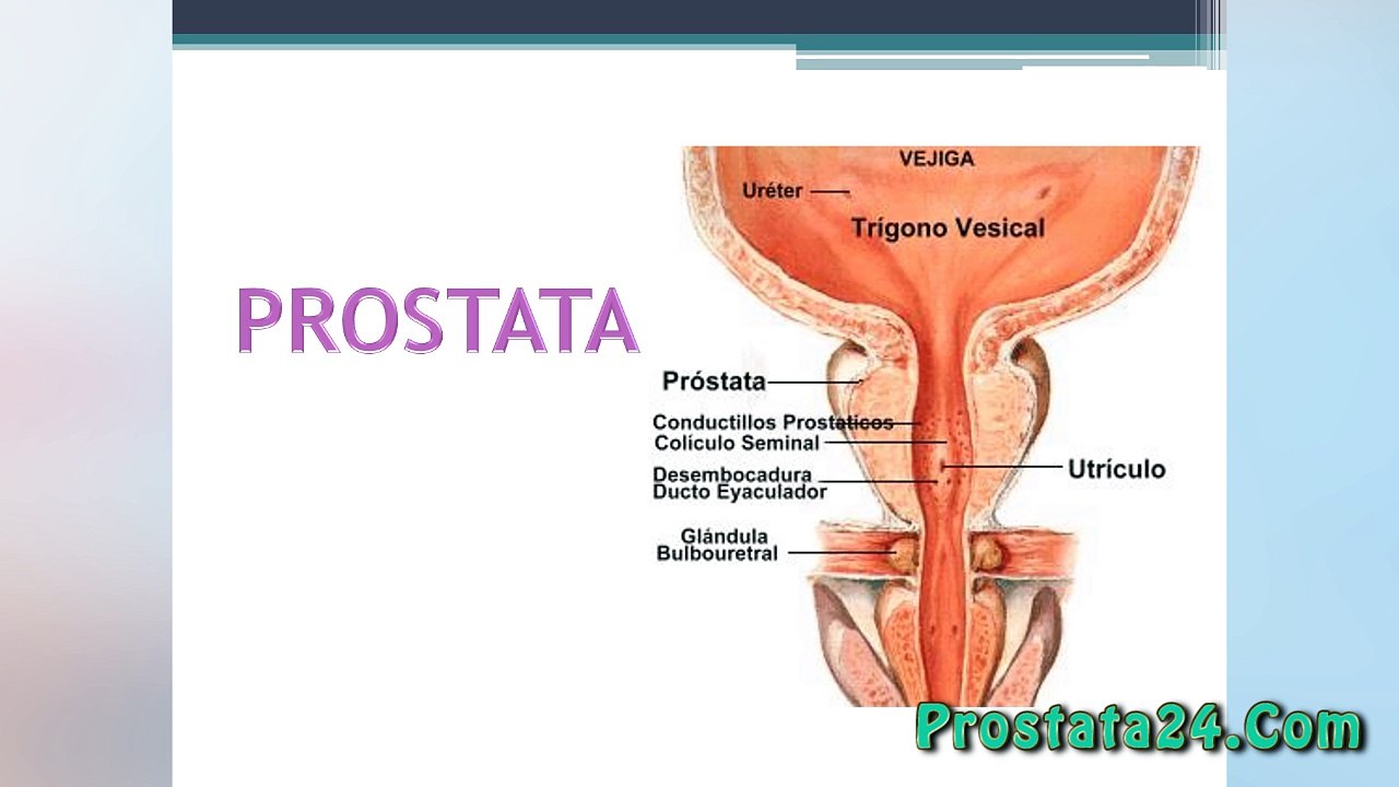 ¿Que es la prostatitis?