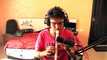 Harry Potter - A window to the Past (Recorder)