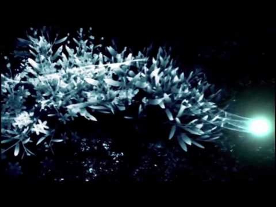 Tự Học After Effects - Bài 9:  Tạo composition và project | HD Group