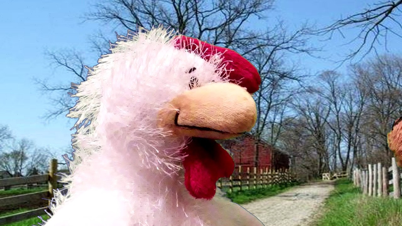 Nico and the Escape From the Farm -- NTB Episode 20