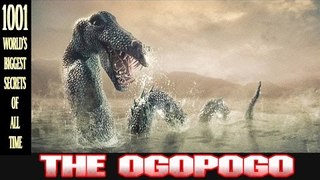 Breaking News all time – The OGOPOGO - 最新ニュース