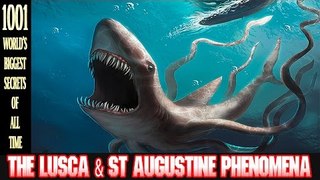 Breaking News all time - The Lusca & Staugus Tine Phenomena - 最新ニュース