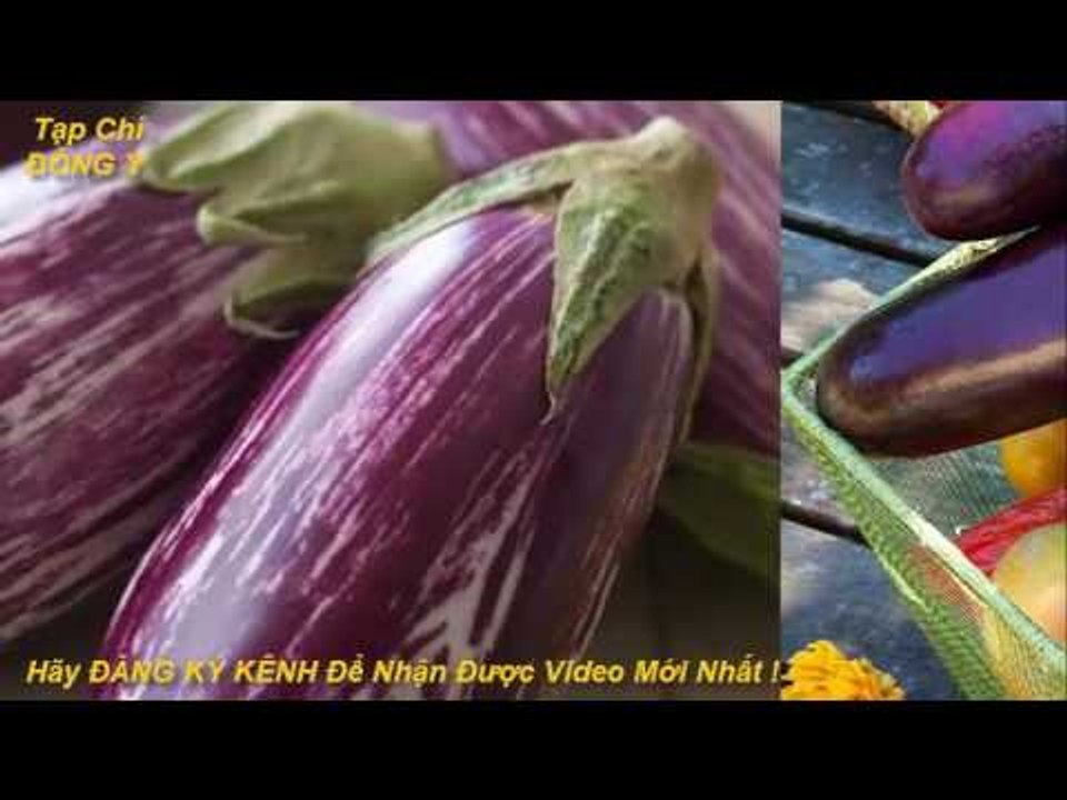 Tác Dụng Của Quả Cà Tím Trong Phòng và Trị Bệnh vs Tạp Chí Đông Y