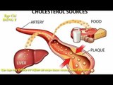 Kiểm Soát MỠ MÁU Ngăn Ngừa BIẾN CHỨNG Tim Mạch vs Sức Khỏe với Đông Y