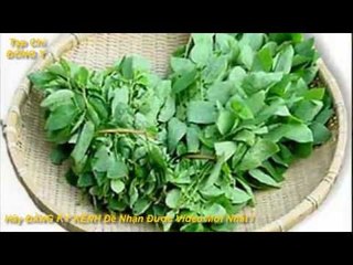 Các Bài Thuốc Chữa BệnhTừ Rau Ngót vs Tạp Chí Đông Y