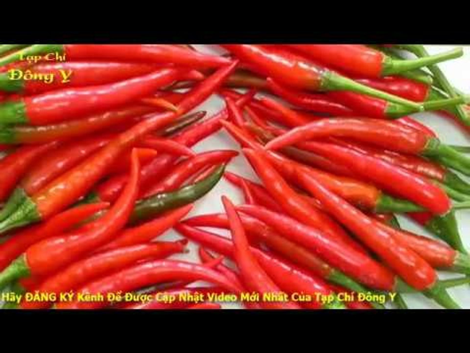 Bất Ngờ Với Tác Dụng Chữa Bênh Của Cây Ớt vs Sức Khỏe với Đông Y