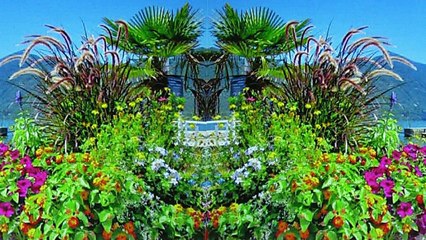 N' attends pas Chanson Vincent LAMMOUR