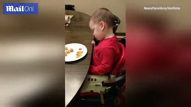 Two-year-old boy is so exhausted he falls asleep at table