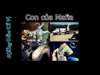 Cuộc sốngcủa các thiếu gia Mafia - Những Điều Thú Vị