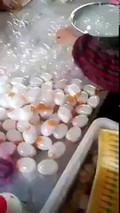 Making artificial eggs chines products be careful