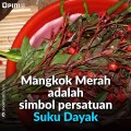 Prinsip Hidup Suku Dayak