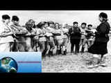 Tin Quân Sự - Đội ' Phù Thủy Bóng Đêm ' Liên Xô Khiến Phát Xít Đức Khiếp Sợ | Tin Thế Giới