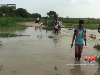 পাহাড়ি ঢলে ভৈরব ও নেত্রকোনায় বোরো ফসলের ব্যাপক ক্ষতি