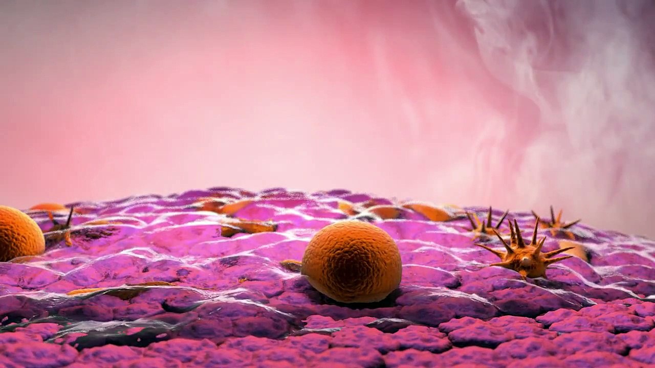 Fully Animated Video Explained by Get Animated..!