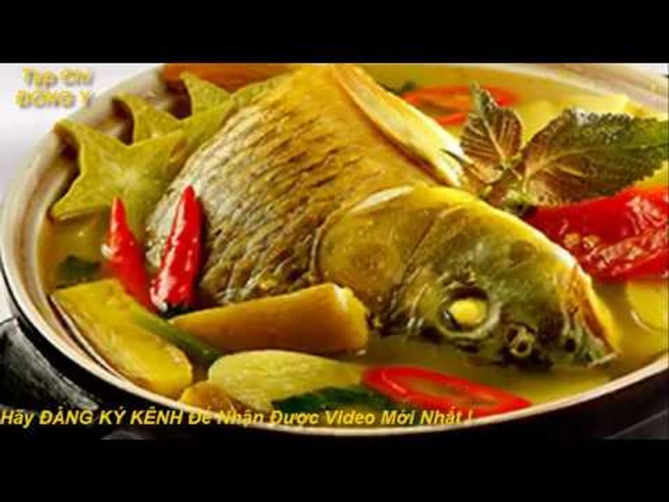 Các bài thuốc chữa bệnh từ Cá Chép vs Tạp Chí Đông Y