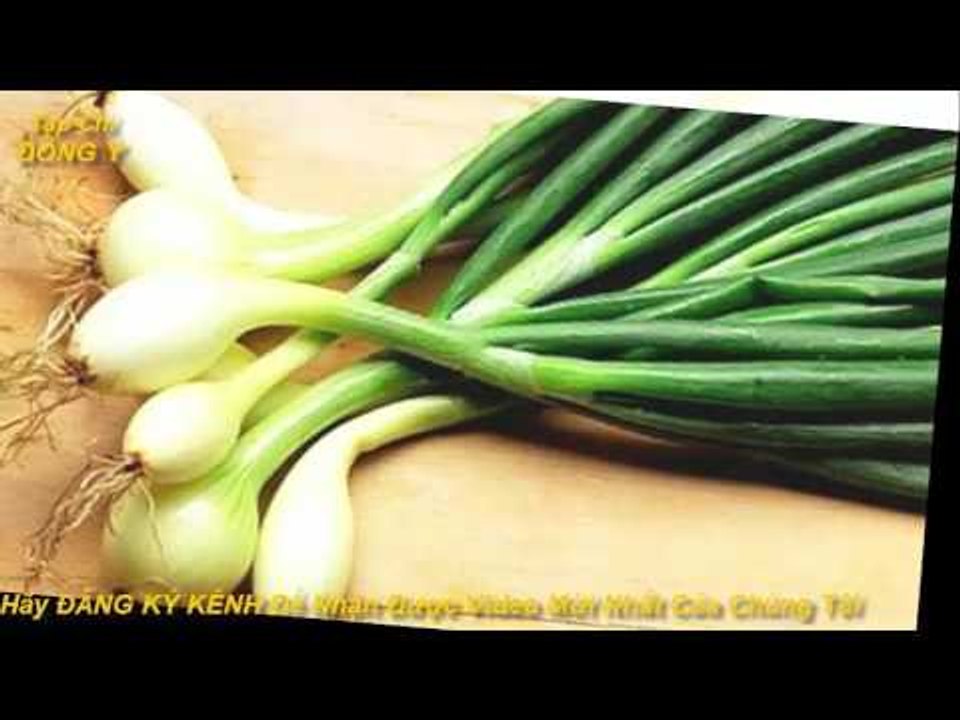 Tác dụng của cây Hành Lá  trong phòng và chữa nhiều bệnh vs Tạp Chí Đông Y