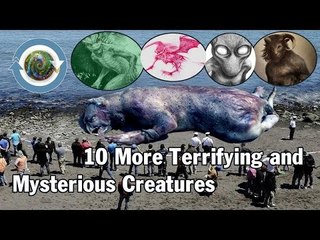 10 More Terrifying and Mysterious Creatures