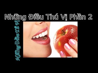 Những Điều Thú Vị Trong Cuộc Sống Phần 2 - Những Điều Thú Vị