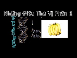 Những Điều Thú Vị Trong Cuộc Sống Mà Bạn Không Nghĩ Đến Phần 1