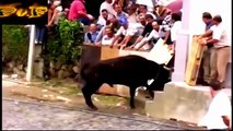 Best Epic Videos Funny Bull Pranks Compilation Awesome Bullfighting Festival Part 7