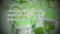 Slip It Into A Glass Of Water: REDUCES WEIGHT, PROTECTS THE HEART, AND PREVENTS DIABETES!!