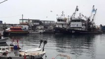 Sezonun Son 10 Gününde Balıkçılar İstavritten Umutlu