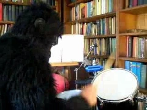 Gorilla drummer with Phil Collins and Cadbury excised