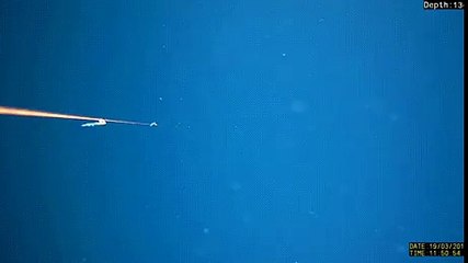 스보벳에이전시【【SCB33。ＣＯＭ -코드: 0004】】✧oag안전사이트