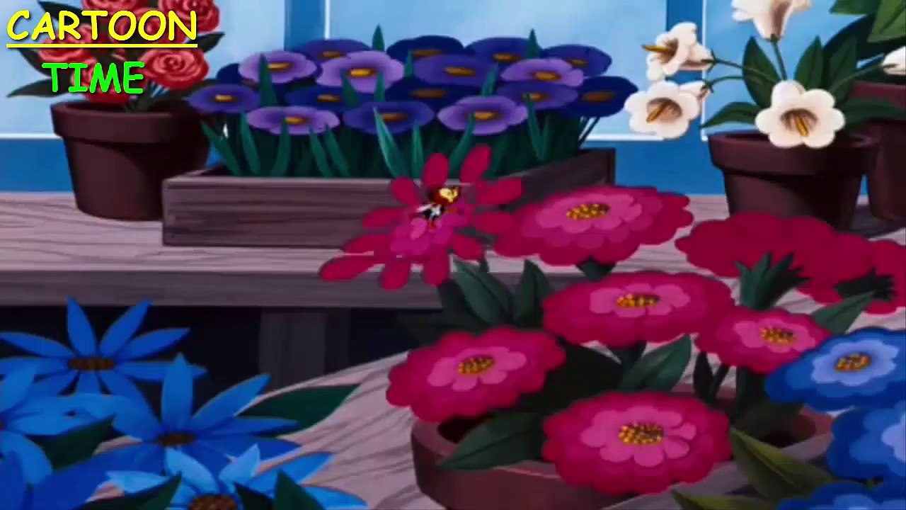 Donald Duck And Mickey Mouse Best Funny Compilation 9
