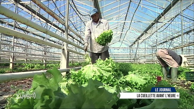 Juste Avant de Zapper du Mardi 04 Avril 2017