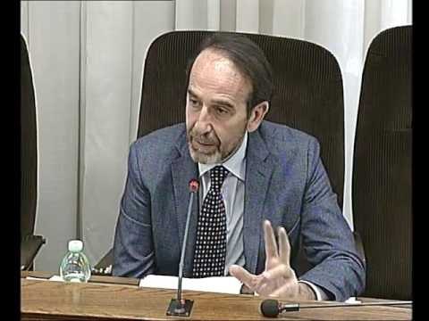 Roma - Audizione viceministro Nencini (04.04.17)