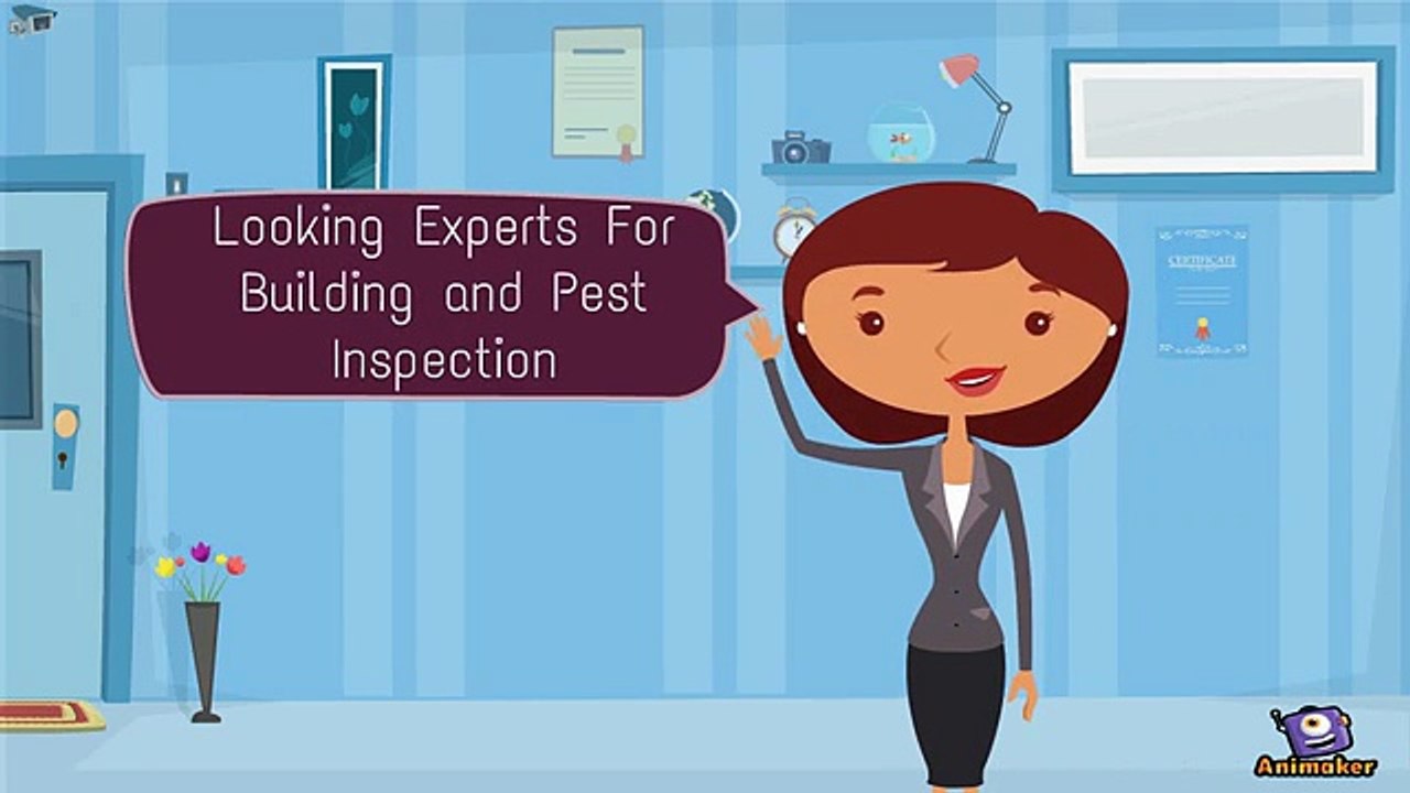 Pre Purchase Building and Pest Inspection