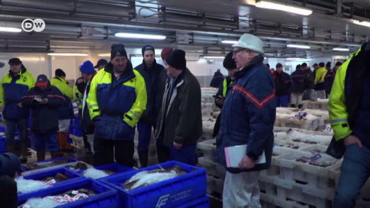 Schottlands Fischer wollen den Brexit | DW Deutsch