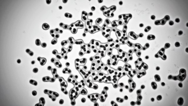 Clip « Irruption » de Gaël Faye