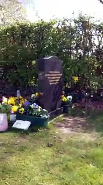 Cet oiseau vient se poser sur son doigts alors quelle fleurit la tombe de son fils décédé... Miracle!