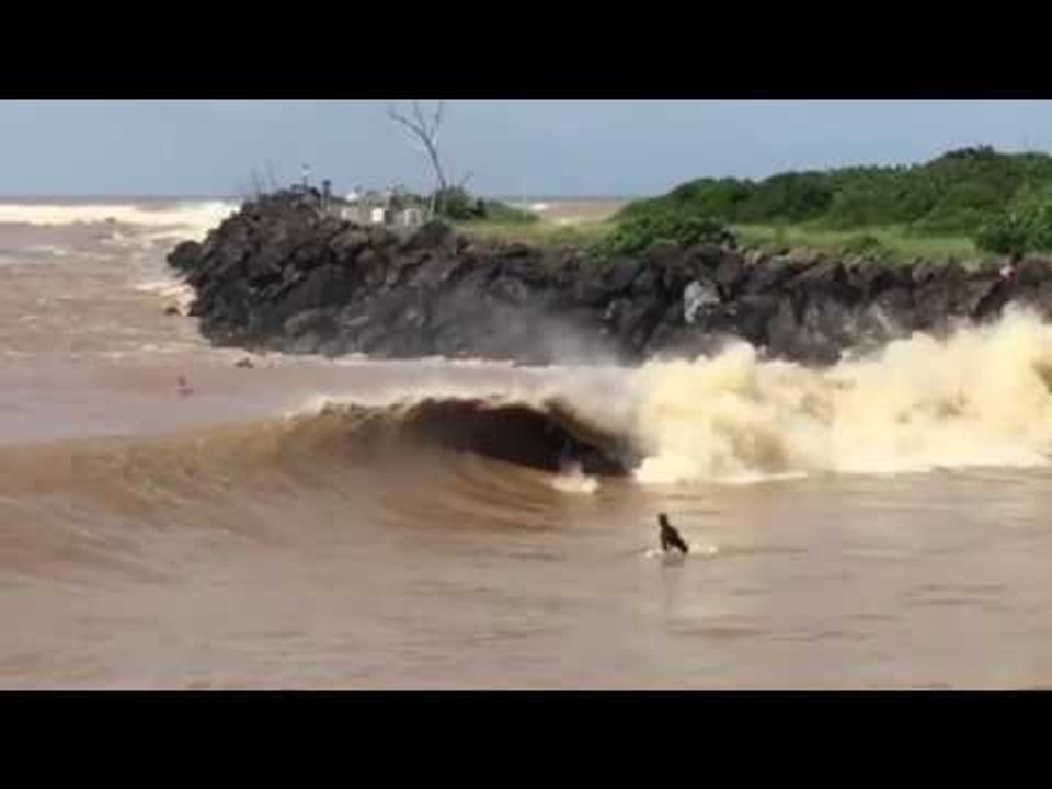 Surfers Enjoy 'Novelty Wave' in Wake of New South Wales Flooding