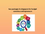 seo packages in singapore for budget conscious entrepreneurs