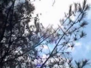 Dende Rare - Pondoq Dunie 🎶 Official Music Video