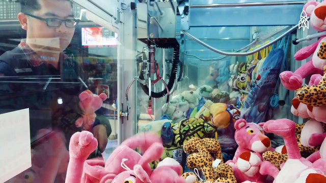 Un homme collectionne 15 000 peluches gagnées grâce aux machines à pinces