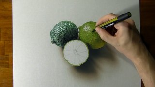 Drawing of some limes - How to draw 3D Art-t5Ju0Durx4A