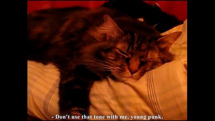 L'AUTORITÉ PARENTALE - PAROLE DE CHAT